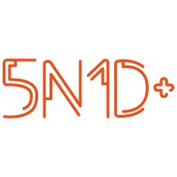5N1DPLUS logo - Similar company to Rising Academy