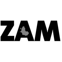 ZAM Magazine logo - Similar company to Globther