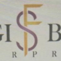 Msingi Bora Enterprise Pty Ltd logo - Similar company to The Mitchell Consulting Group