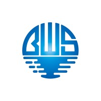 BWSea Technology Group logo - Similar company to Blokhost