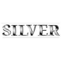 Silver - Event Professionals Group logo - Similar company to Altspace Vr