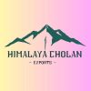 Himalaya Cholan Exports logo - Similar company to Milliyarns