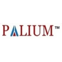 Palium Software