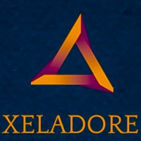 Xeladore logo - Similar company to Wp Suites