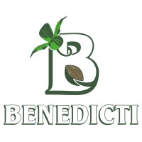Benedicti Distribuciones logo - Similar company to Home Terranova