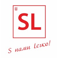 Saelog logo - Similar company to Meteorit