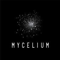 Myceliumweb.be logo - email format related to VakantieAnders