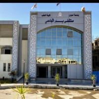 Badr Hospital (Helwan University Hospitals)
