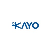 Kayo Boxing logo - Similar company to Vision Boxing