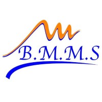BMMS logo - Similar company to Selfa