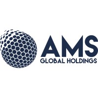 AMS Global Holdings Ltd logo - Similar company to Ams Holdings