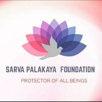 Sarva Palakaya Foundation logo - Similar company to Vidya Vriddhi | A Unit Of Jp Technologies