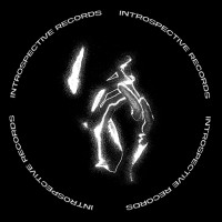 Introspective logo - Similar company to Skitch