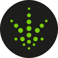 Alto Verde Holdings Ltd