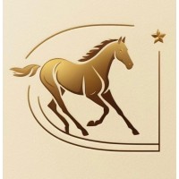 GallopNova AI Solutions logo - Similar company to Lustra Labs