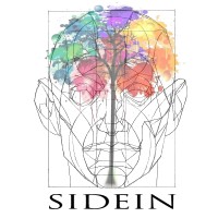 SIDEIN logo - Similar company to Rodytrans