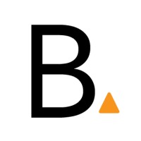BlissPoint Consulting logo - Similar company to Richardvanderblom.Com