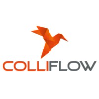 Colliflow logo - Similar company to Tokvam As