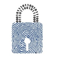 Cyborg Cyber Forensics and Information Security (CCFIS) logo - Similar company to Turtl Tech