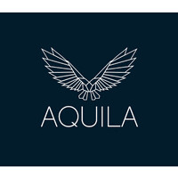 Aquila Global Group logo - Similar company to Viddium
