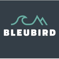 Bleubird Co logo - Similar company to Webtemp