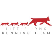 Little Lynx logo - Similar company to Cinilope