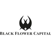 Black Flower Capital GmbH logo - Similar company to Bloomrich Crypto Ltd.