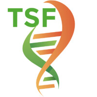Tahmasbi Saki Foundation logo - Similar company to Xlsm.Ir
