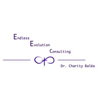 Endless Evolution Consulting logo - Similar company to Gsd Telecom Services