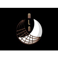 MLN Token logo - Similar company to Coin Tech Solutions