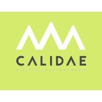 Calidae logo - Similar company to Scud Cybersecurity