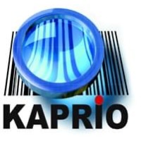 Kaprio logo - Similar company to Bluestar