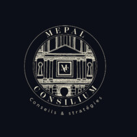 MEPAL STRATEGY SERVICES logo - Similar company to Les Inclusif.Ve.S