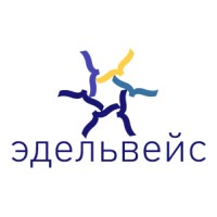 EDELWEISS LLC logo - Similar company to T-Platforms