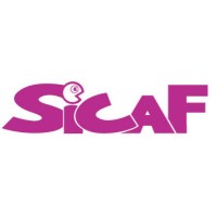 Seoul International Cartoon & Animation Festival logo - Similar company to Mostapes