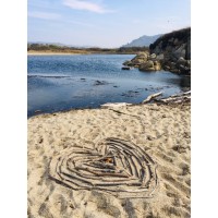 Carmel River Watershed Conservancy