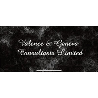 VALENCE & GENEVA CONSULTANTS LIMITED logo - Similar company to Finno Efra Accelerator
