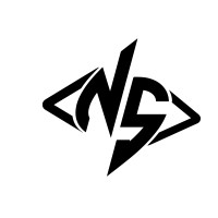 NOVASCRIPTUM, LLC logo - Similar company to Aznay Technologies