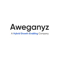Aweganyz logo - Similar company to Chindo Impex