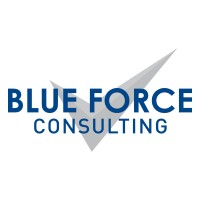 Blue Force Consulting LLC logo - Similar company to Lr Data Science
