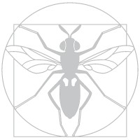 NextAlim logo - Similar company to Nextgenproteins