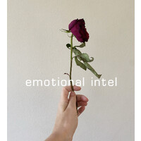 Emotional Intel logo - Similar company to On The One Consultancy