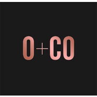 Dave Oster logo - Similar company to Intero Design