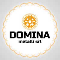 Domina Metalli Srl logo - Similar company to Boningros