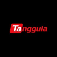 Tanggula Multimedia logo - Similar company to Vsee