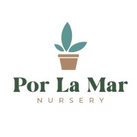 Por La Mar Nursery
