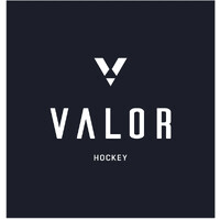 Valor Hockey logo - Similar company to Highbar
