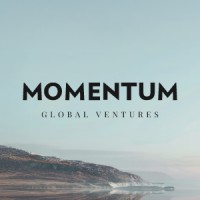 Momentum Global Ventures logo - Similar company to Perpetual Next