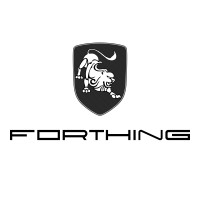 Forthing Mauritius logo - Similar company to Direct Auto Limited