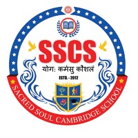 Sacred Soul Cambridge School logo - Similar company to Dreamwingz Training & Development Pvt Ltd